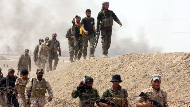 HASHD (3)