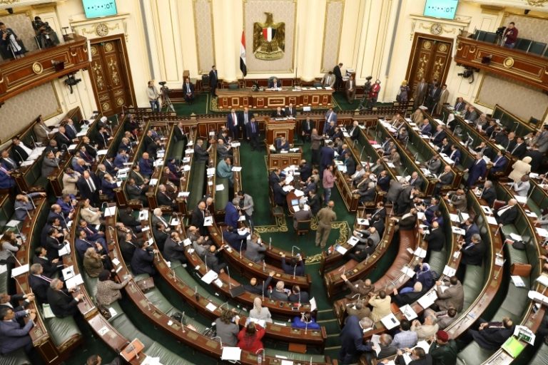 EGYPT-PARLIAMENT-CONSTITUTION