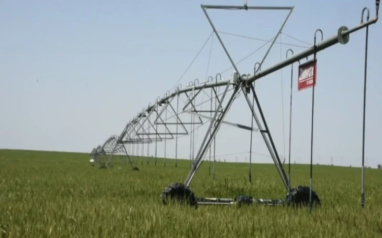 61486_11803_1765526945___webp_800_500